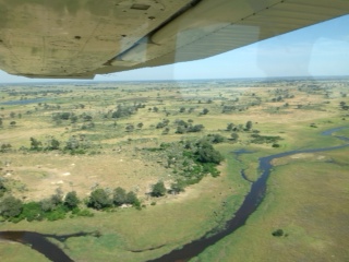 Okavango Delta from air